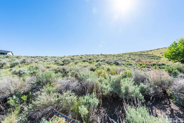 a view of a green field