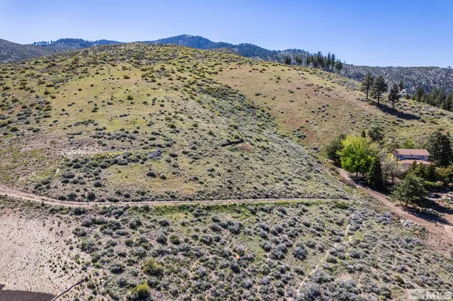 a view of a yard with a mountain