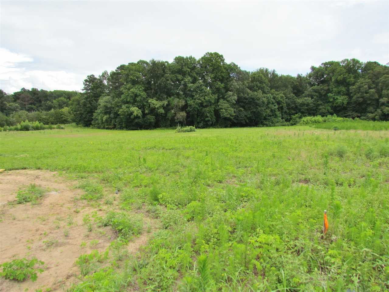 167 Eatmon Road Zebulon, NC 27597 - Photo 7 of 24 Photo 7
