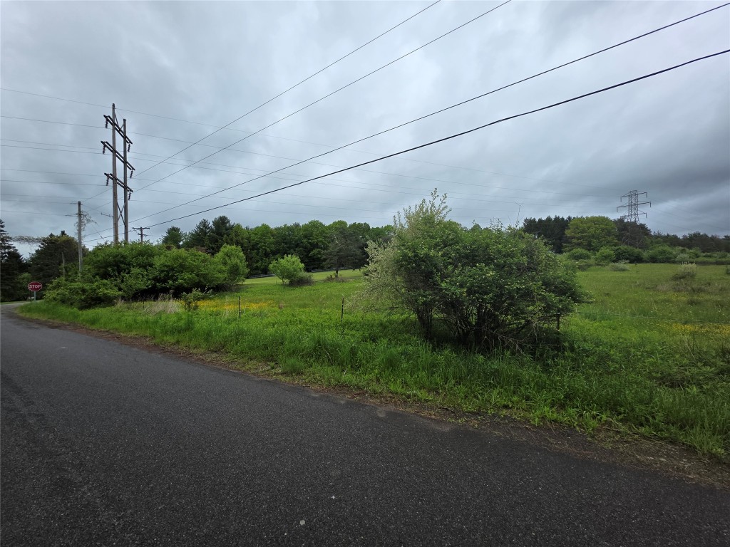 0 Gardner Road Apalachin, NY 13732 - Photo 3 of 12