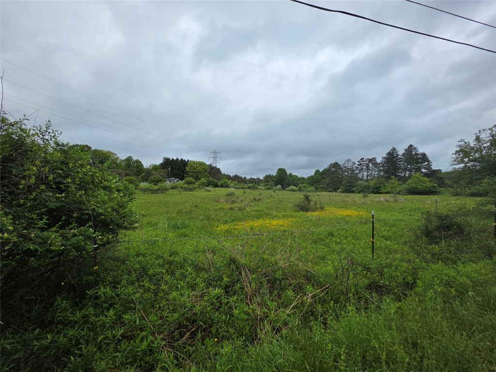 0 Gardner Road Apalachin, NY 13732 - Photo 4 of 12