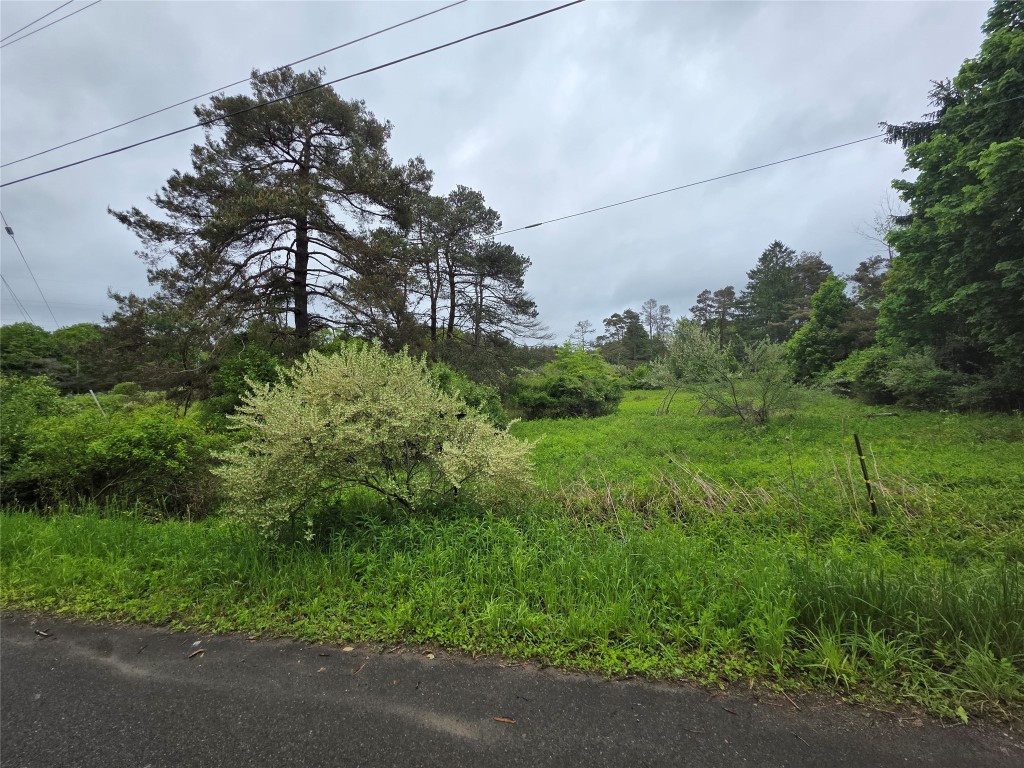 0 Gardner Road Apalachin, NY 13732 - Photo 6 of 12