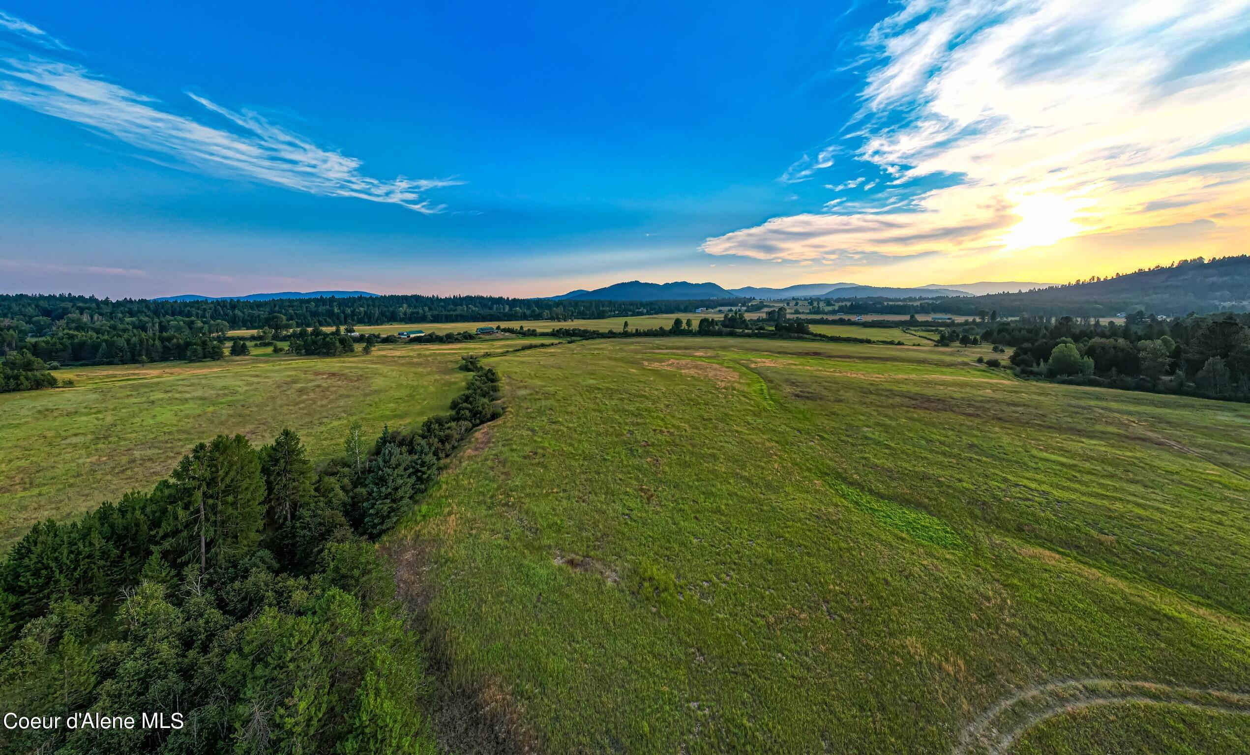 50 East /- Acres Peninsula Road Priest River, ID 83856 - Photo 2 of 8 Level and open parcel