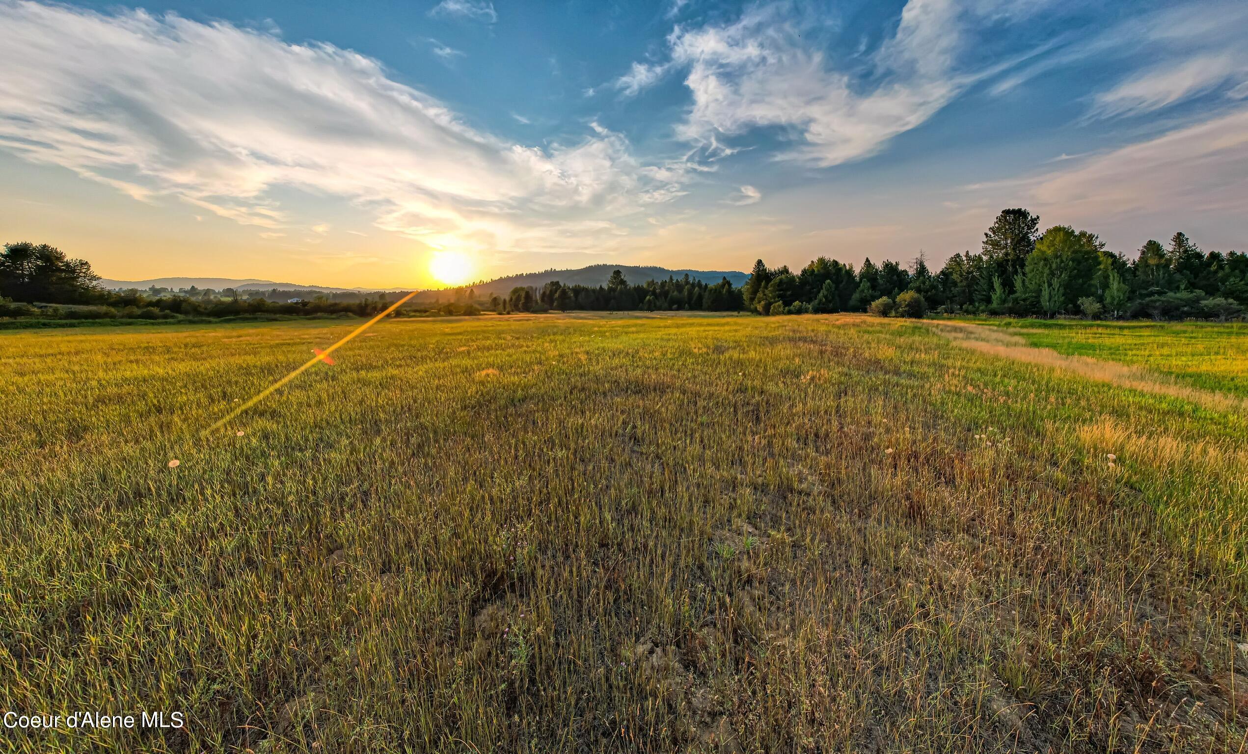 50 East /- Acres Peninsula Road Priest River, ID 83856 - Photo 4 of 8 Mostly fenced