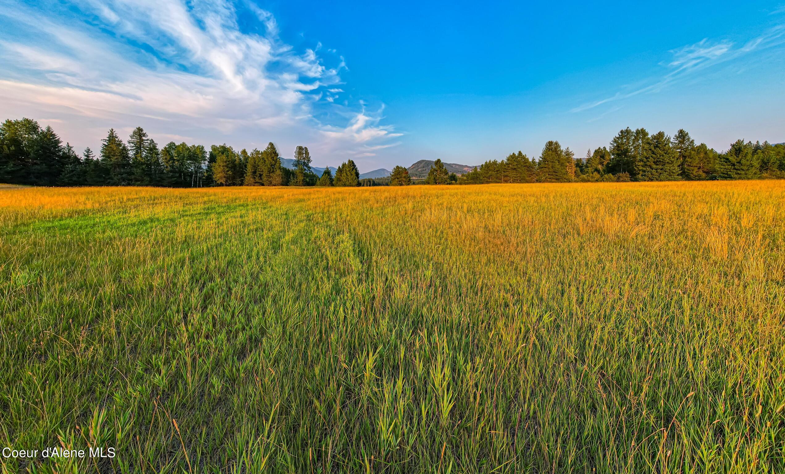 50 East /- Acres Peninsula Road Priest River, ID 83856 - Photo 5 of 8 Few trees