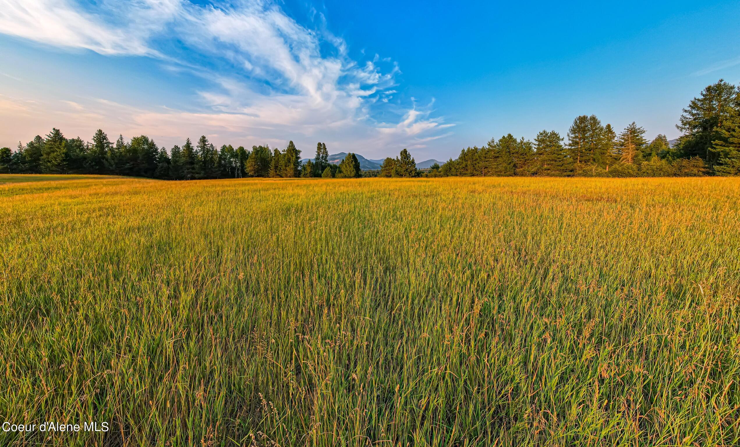 50 East /- Acres Peninsula Road Priest River, ID 83856 - Photo 6 of 8 Open pasture land