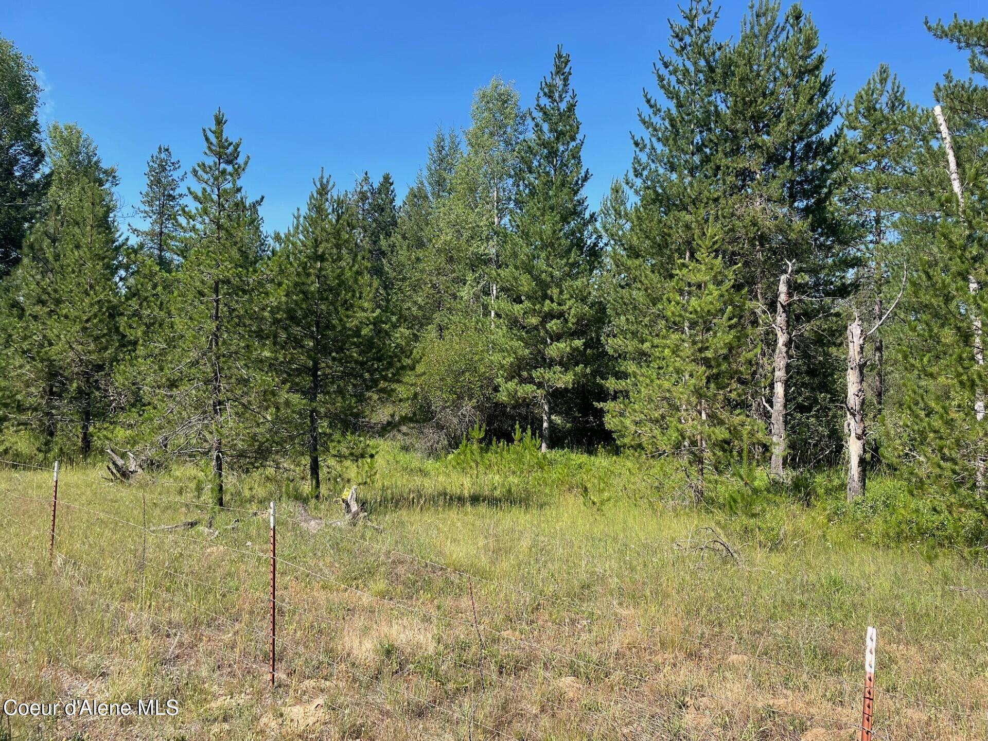 50 East /- Acres Peninsula Road Priest River, ID 83856 - Photo 7 of 8 E 1
