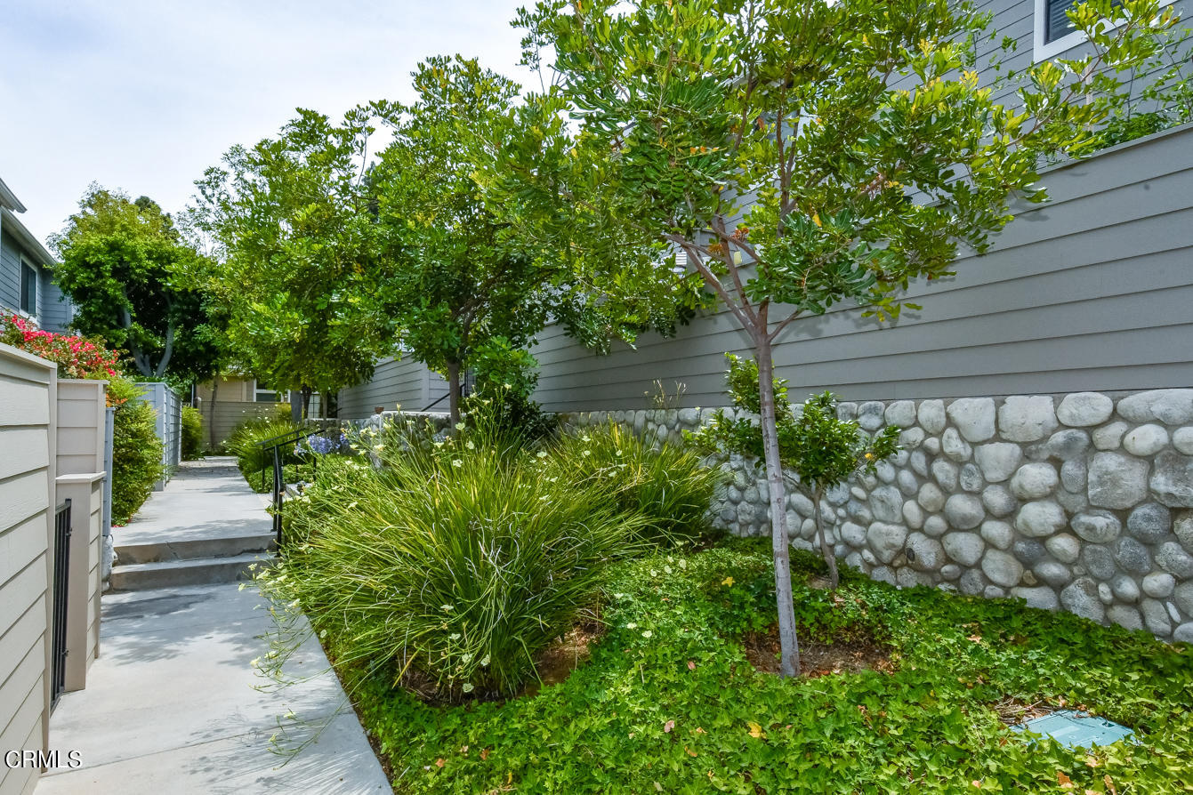 249 Alpine Street, Unit 53 Pasadena, CA 91106 - Photo 29 of 33 a backyard of a house with lots of green space
