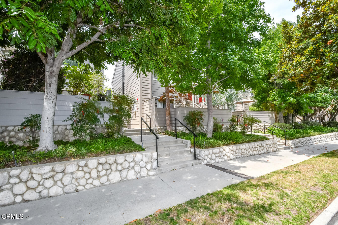 249 Alpine Street, Unit 53 Pasadena, CA 91106 - Photo 33 of 33 a view of a park with a trees