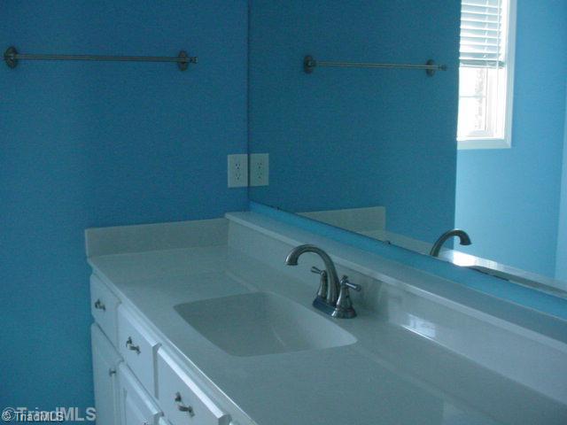 350 Rockcrusher Road Lexington, NC 27292 - Photo 10 of 12 Master Bath/Spa.
