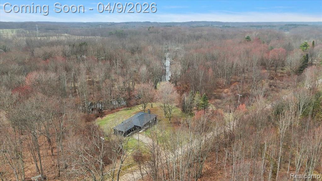 5840 Spring Valley Lane Dryden, MI 48428 - Photo 18 of 49