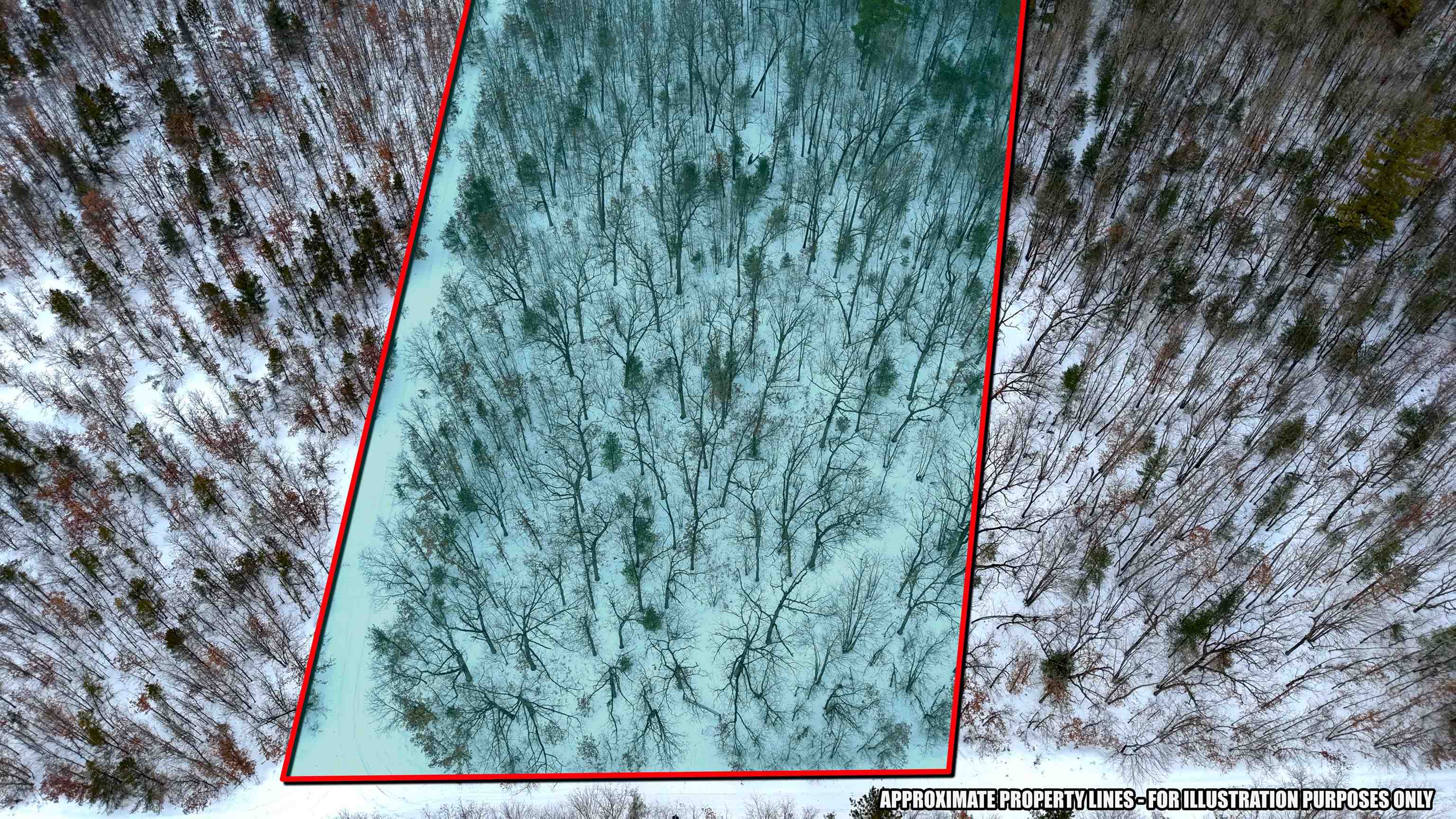 Turney Ranch Trail Branch West Branch, MI 48661 - Photo 6 of 14