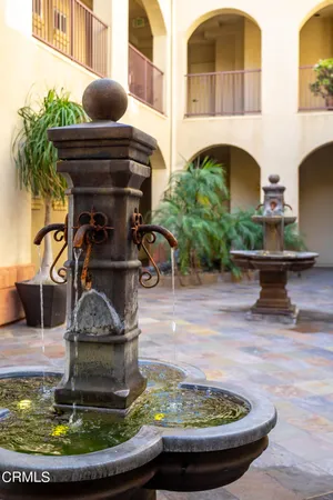 a view of a potted plants next to a building
