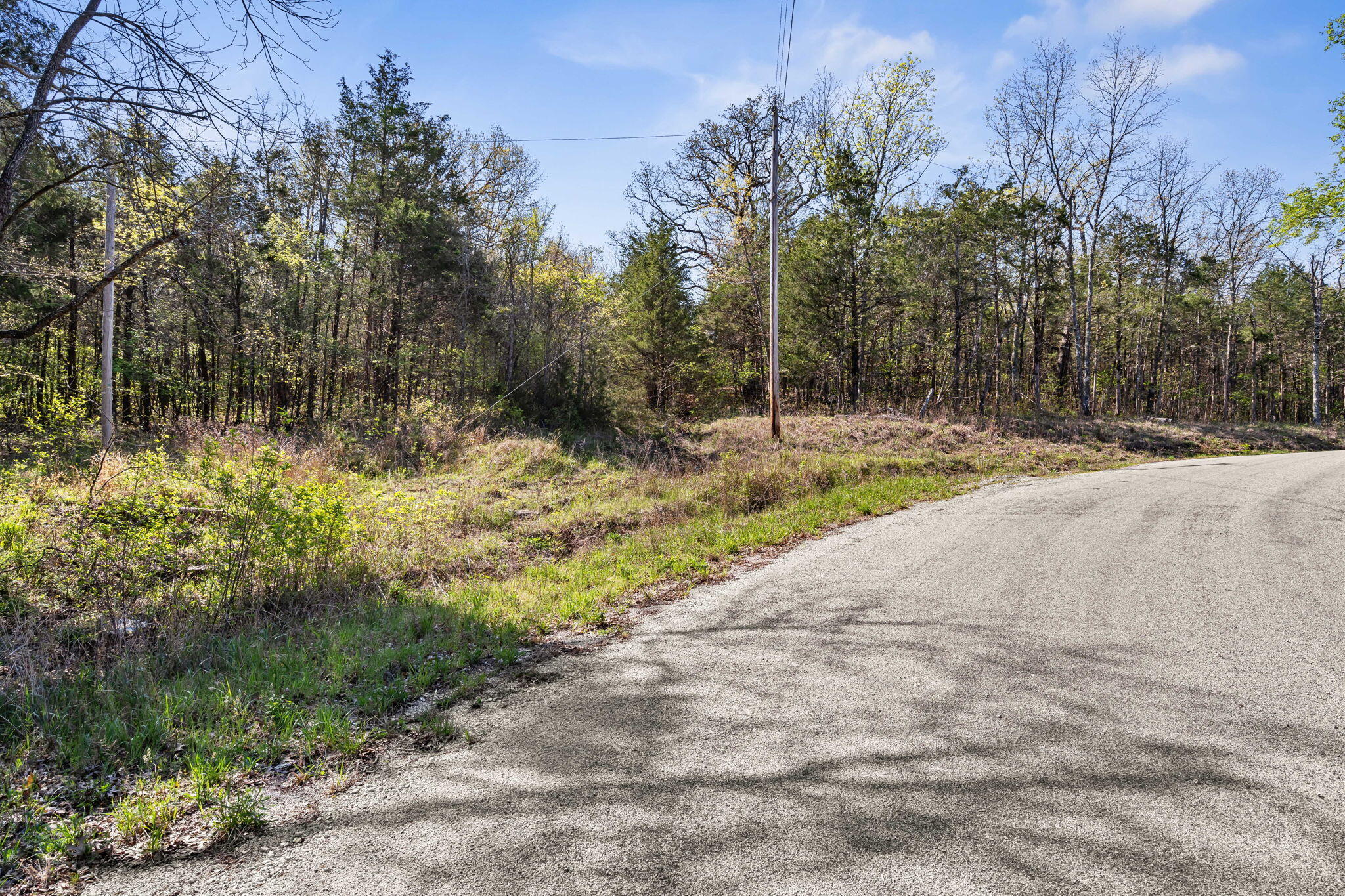 Tbd Everest Road Galena, MO 65656 - Photo 6 of 27 Tbd-Everest-Rd-Acreage-Build-Site-Road