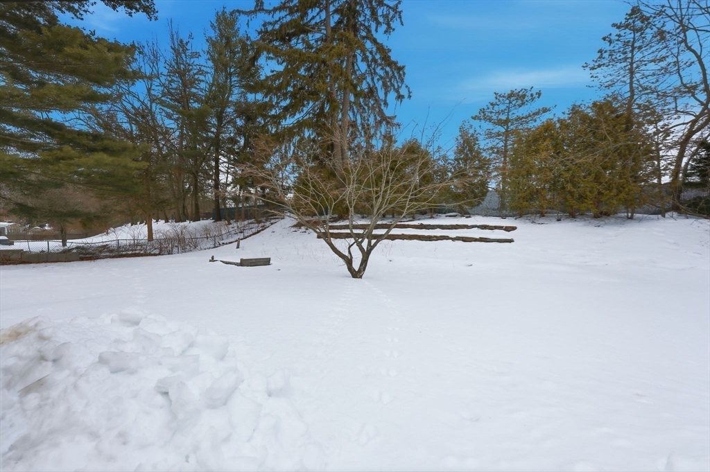 73 Timber Lane Springfield, MA 01119 - Photo 21 of 22