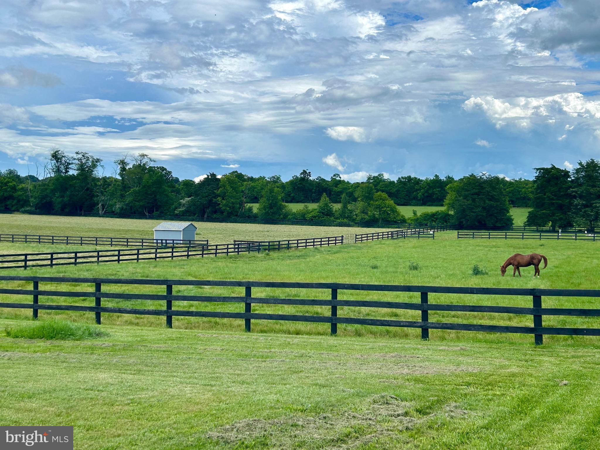 64 Salem Church Road Boyce, VA 22620 - Photo 46 of 59 a view of a bench in a park