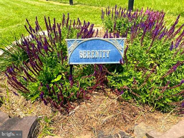 64 Salem Church Road Boyce, VA 22620 - Photo 51 of 59 a sign that is sitting in front of flowers