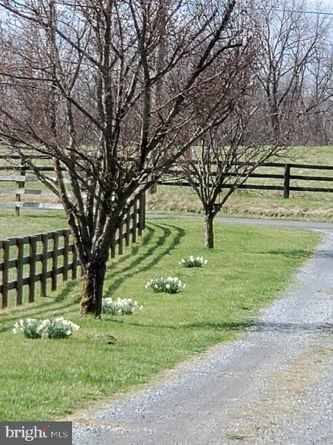 64 Salem Church Road Boyce, VA 22620 - Photo 53 of 59 a view of yard with green space