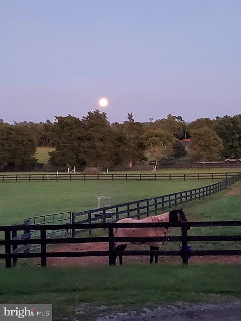 64 Salem Church Road Boyce, VA 22620 - Photo 59 of 59 a view of a bench in a garden