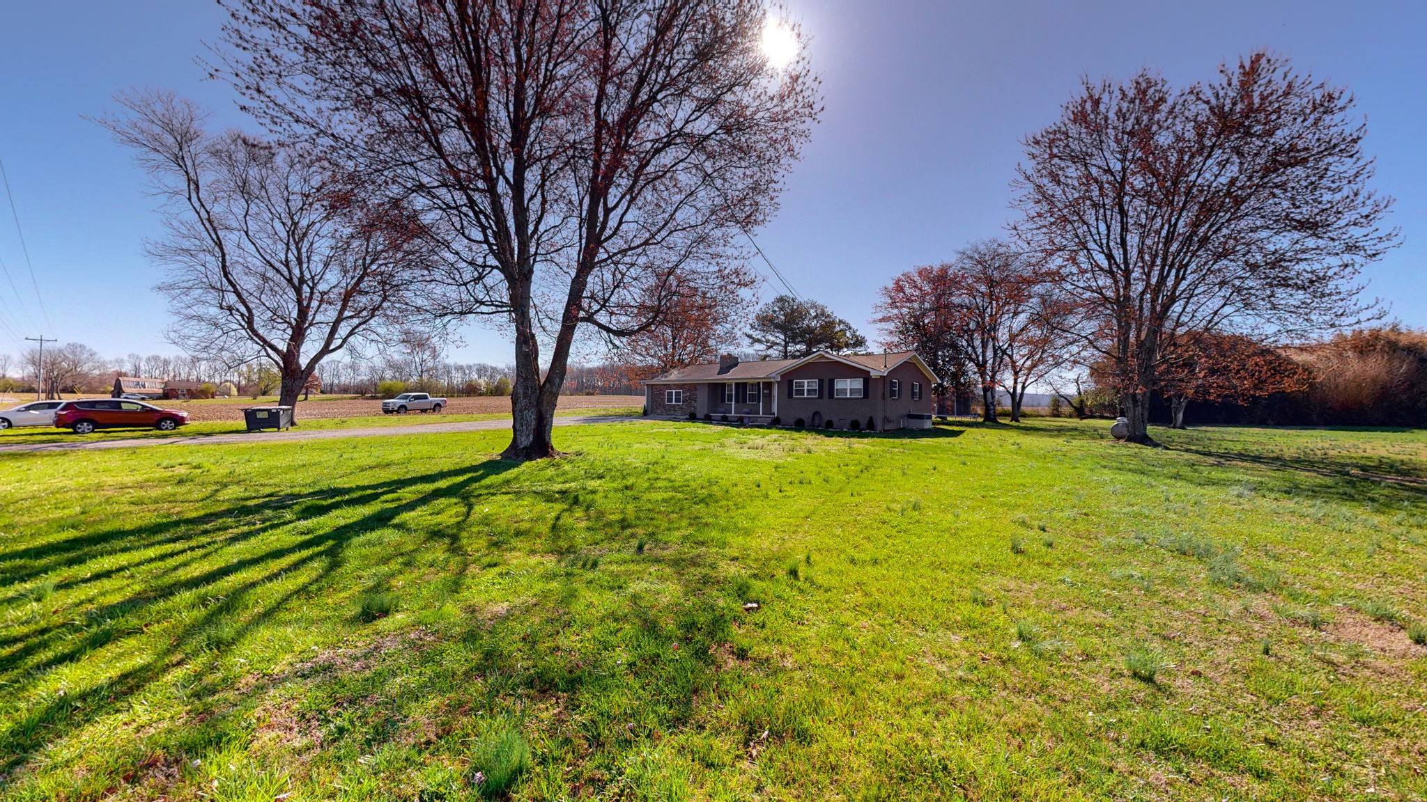 221 Limestone Road Elora, TN 37328 - Photo 13 of 47 a view of yard with trees