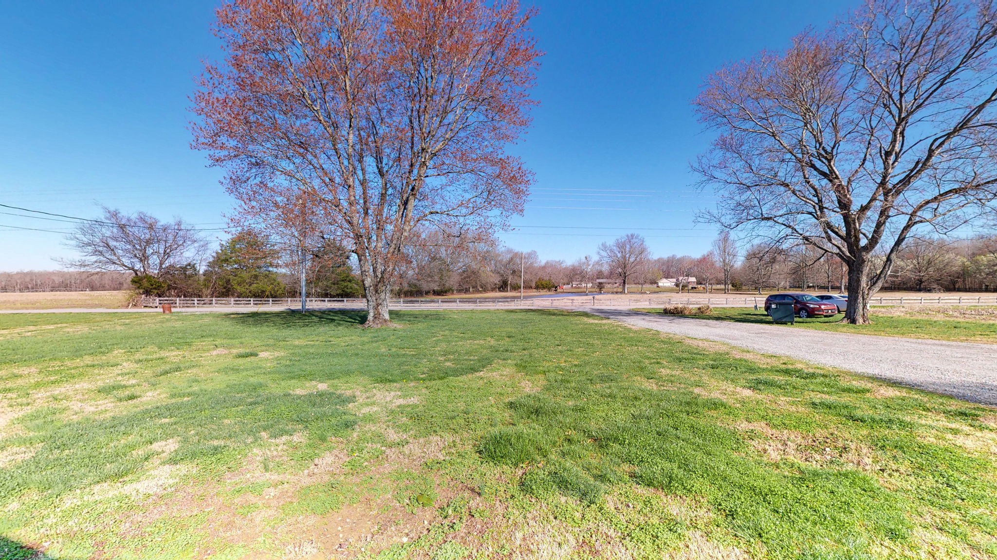 221 Limestone Road Elora, TN 37328 - Photo 16 of 47 a view of outdoor space with garden and trees