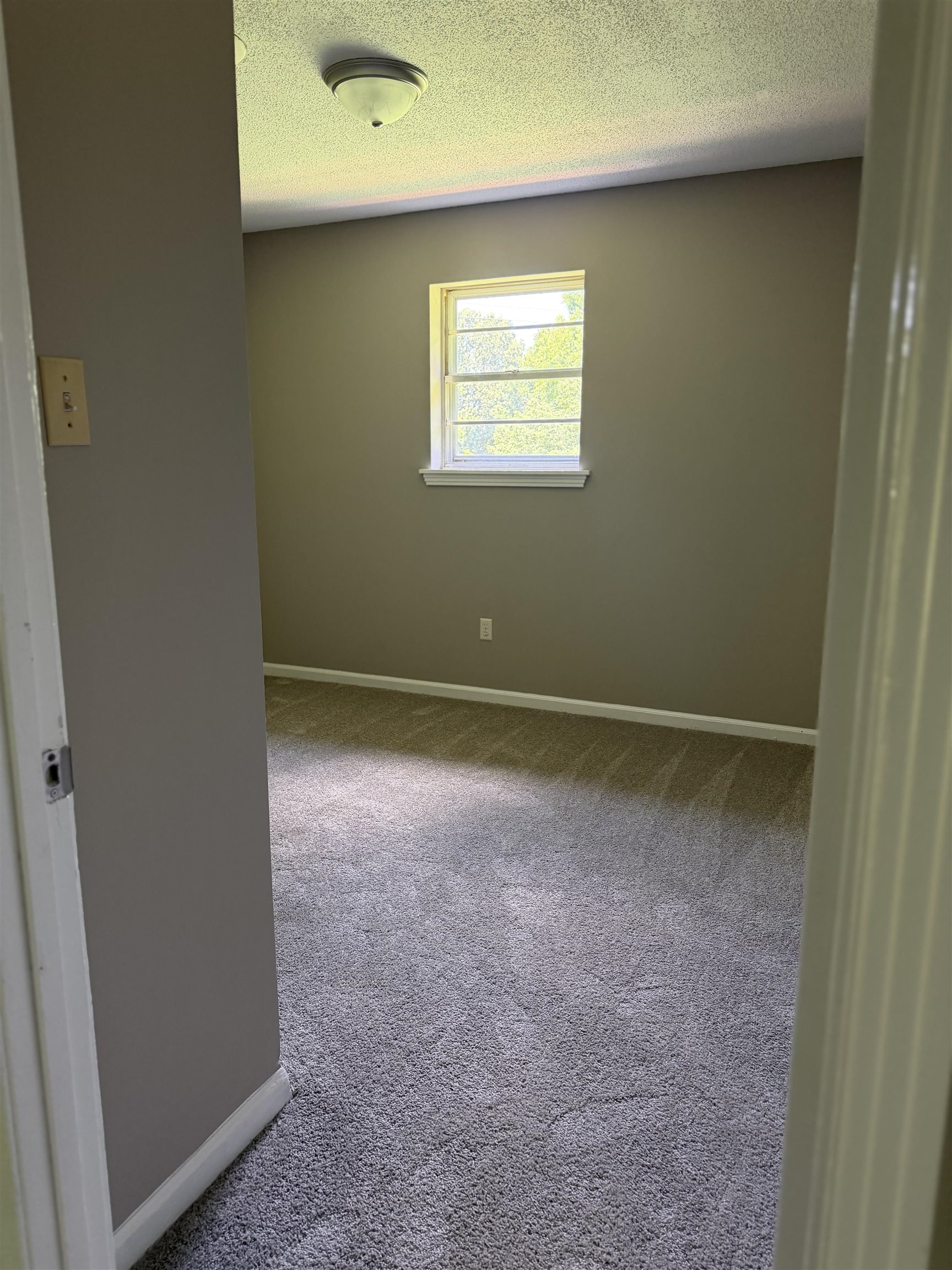 583 Armstrong Road Drummonds, TN 38023 - Photo 13 of 14 Room featuring plush gray carpeting, neutral wall paint, and a single-pane window