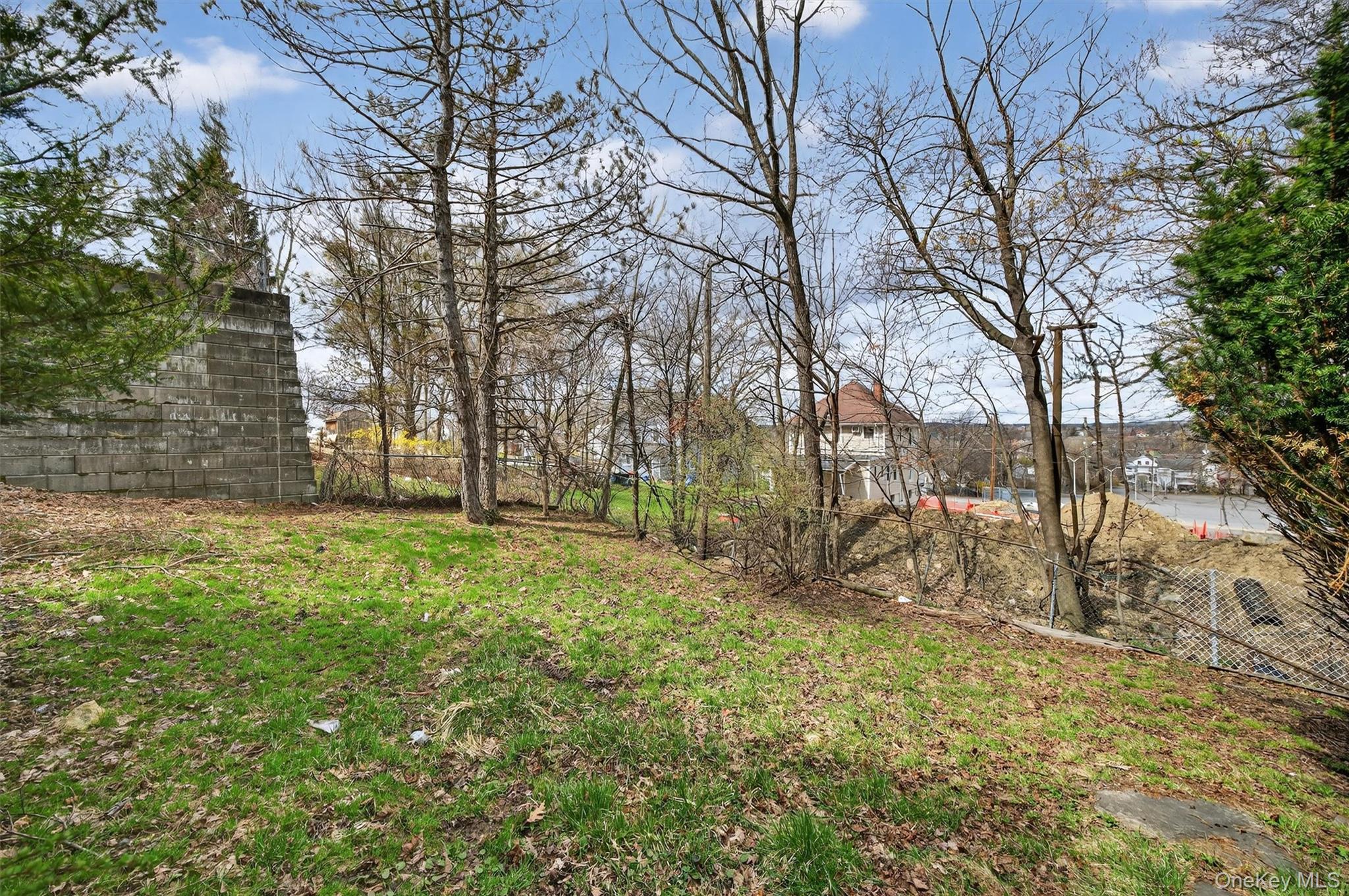 26 1/2 Ridge Street Middletown, NY 10940 - Photo 34 of 36