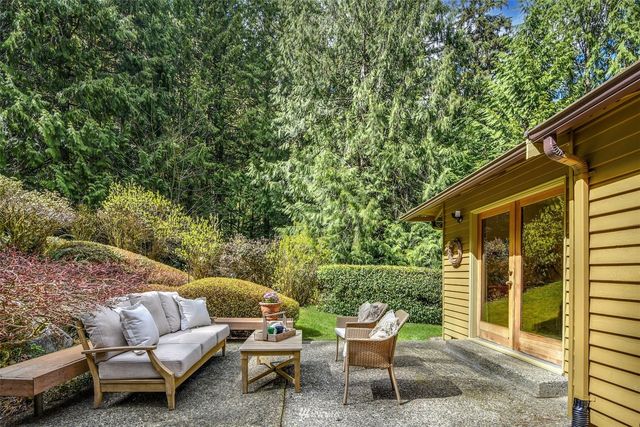 a view of a trees with a yard