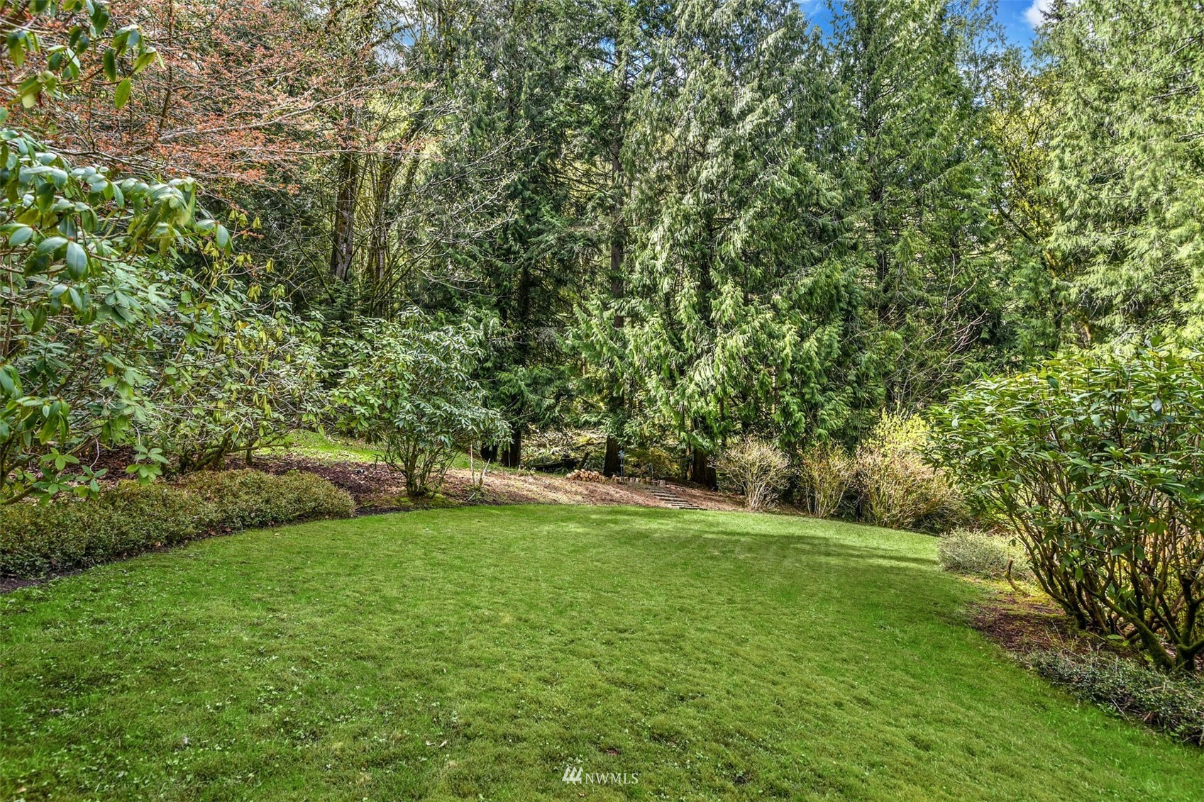 1160 Ridgewood Place Southwest Issaquah, WA 98027 - Photo 35 of 39 a view of a trees with a yard