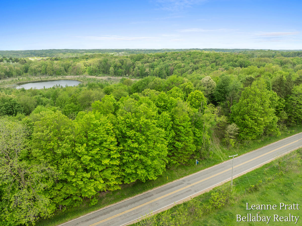 Vl Hutchinson Road Dowling, MI 49050 - Photo 1 of 9 12950-Hutchinson_212