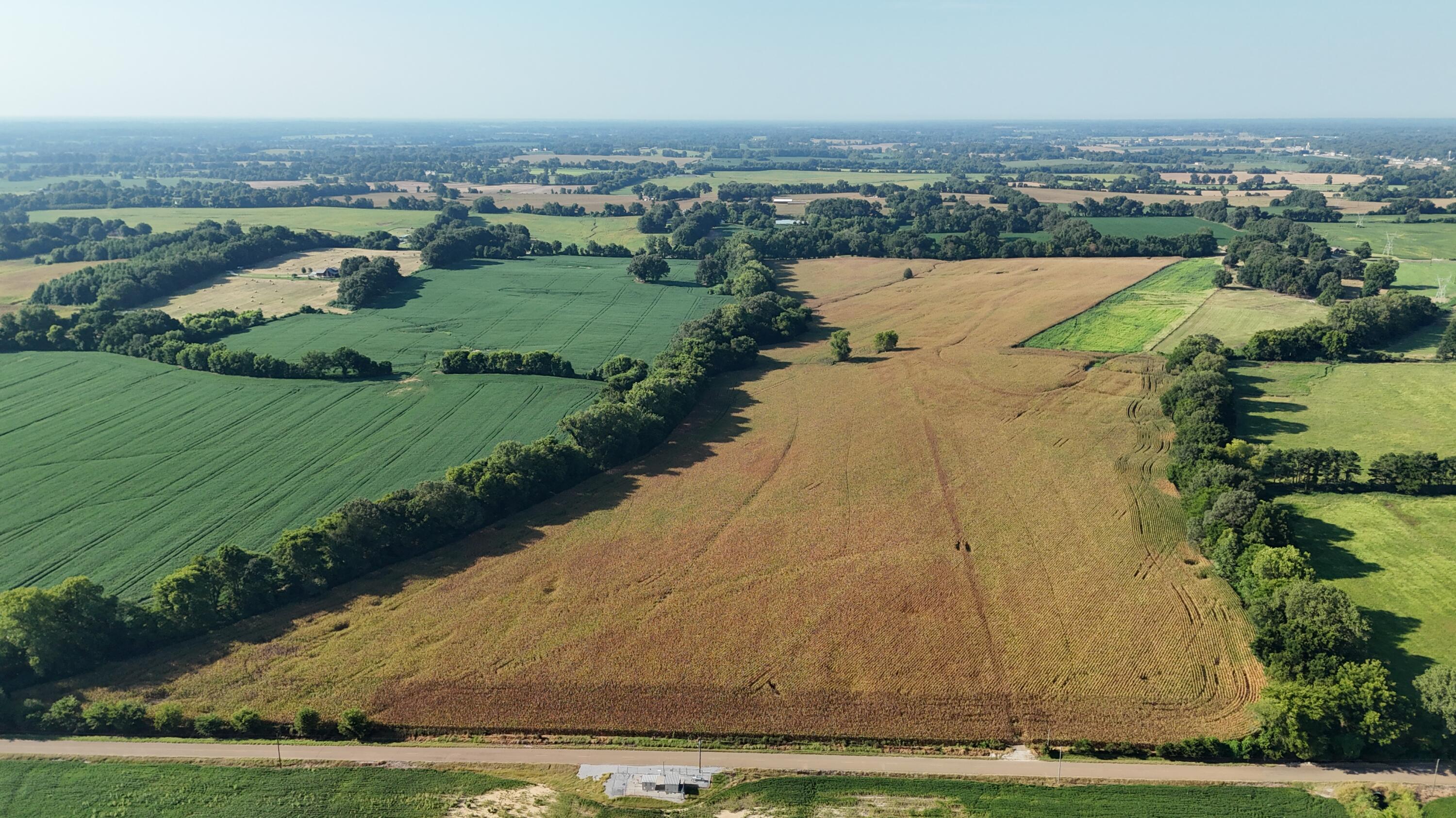3920 Antioch Highway 51 Road Covington, TN 38019 - Photo 15 of 32 DJI_20250819103146_0130_D