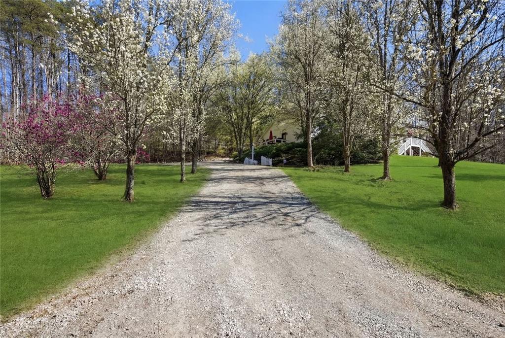 1852 Oak Grove Road Dahlonega, GA 30533 - Photo 12 of 68 a view of a park with tree s
