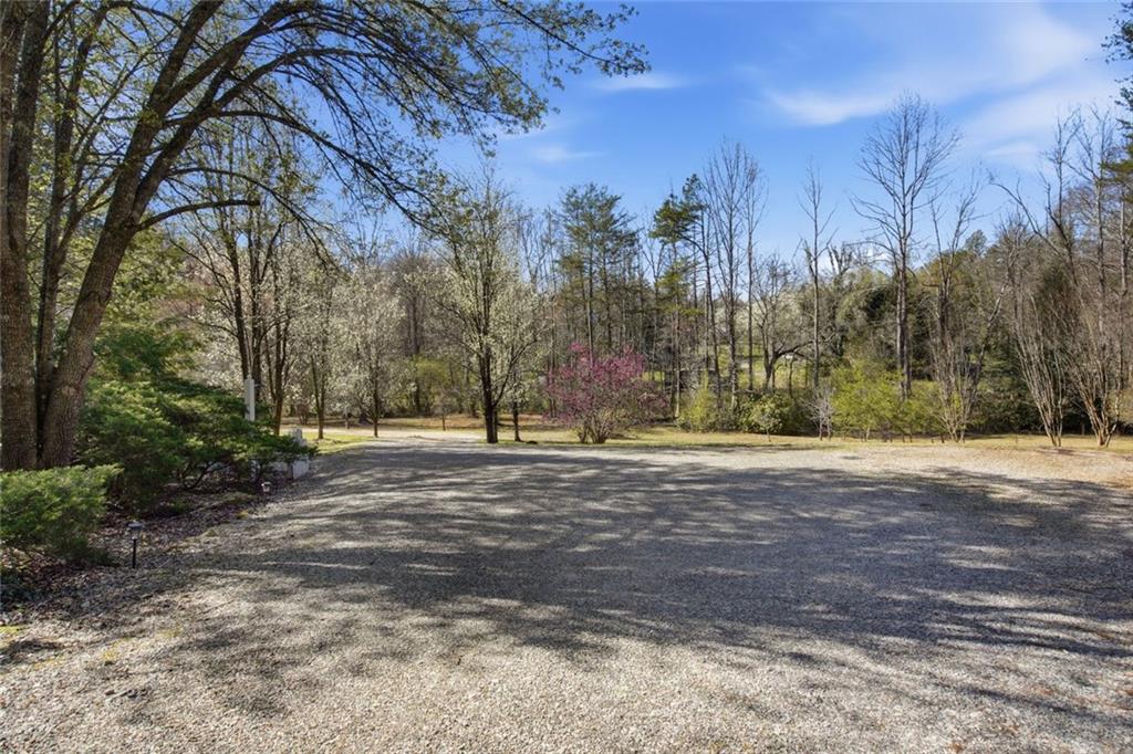 1852 Oak Grove Road Dahlonega, GA 30533 - Photo 16 of 68 a view of a yard with a tree