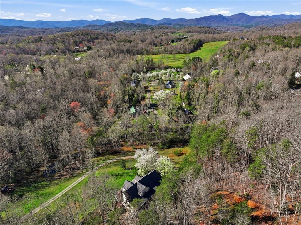 1852 Oak Grove Road Dahlonega, GA 30533 - Photo 25 of 68 a view of a lush green forest with trees and some houses