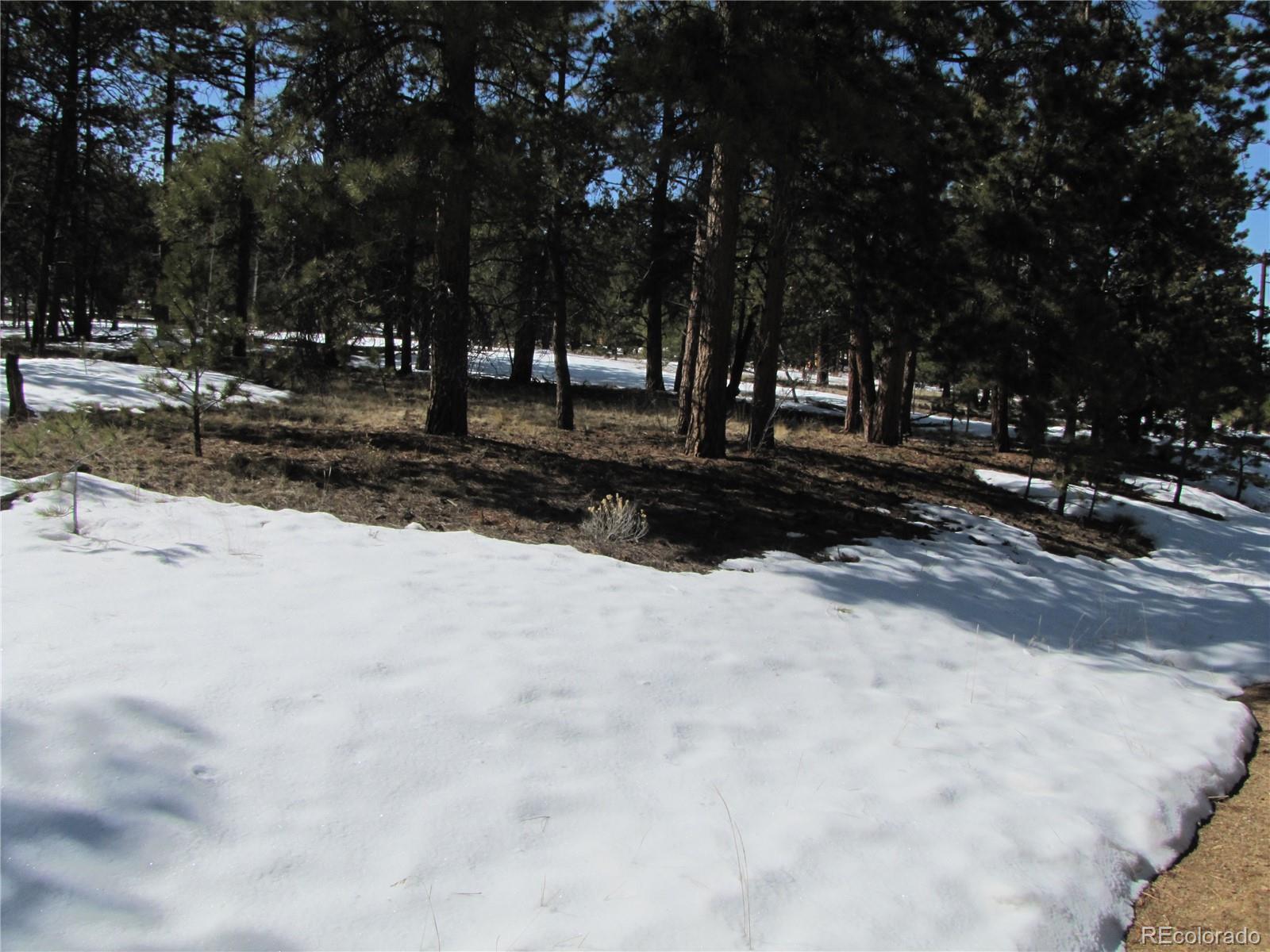 169 Haystack Road Hartsel, CO 80449 - Photo 1 of 3 Gallery Image 1