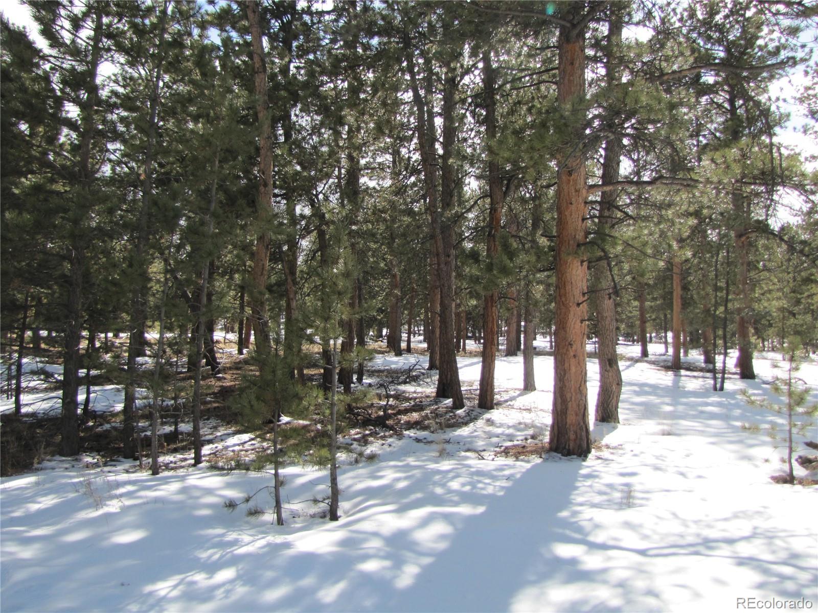 169 Haystack Road Hartsel, CO 80449 - Photo 3 of 3 Gallery Image 3