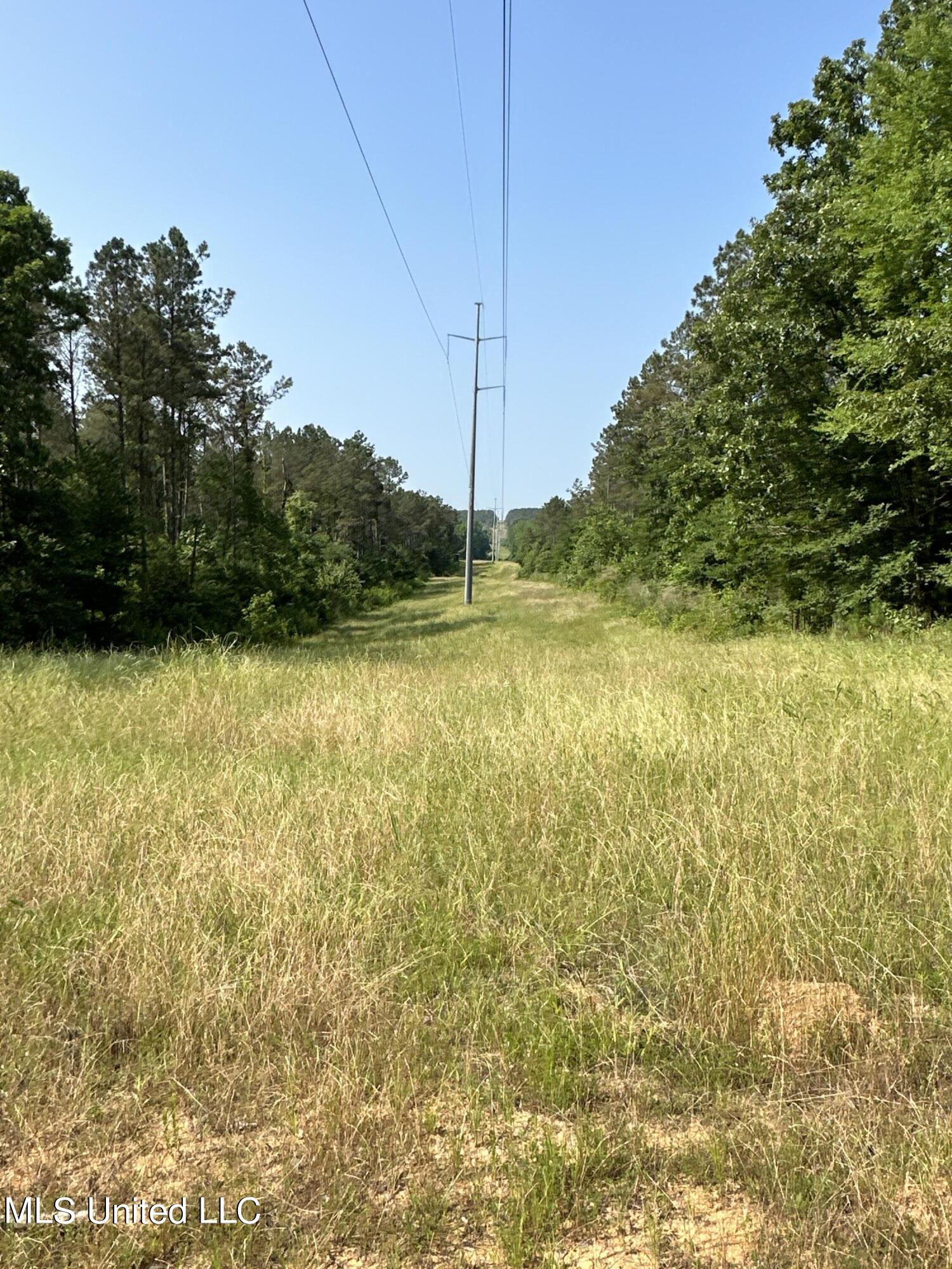 323 County Road Oxford, MS 38655 - Photo 32 of 38 IMG_4769