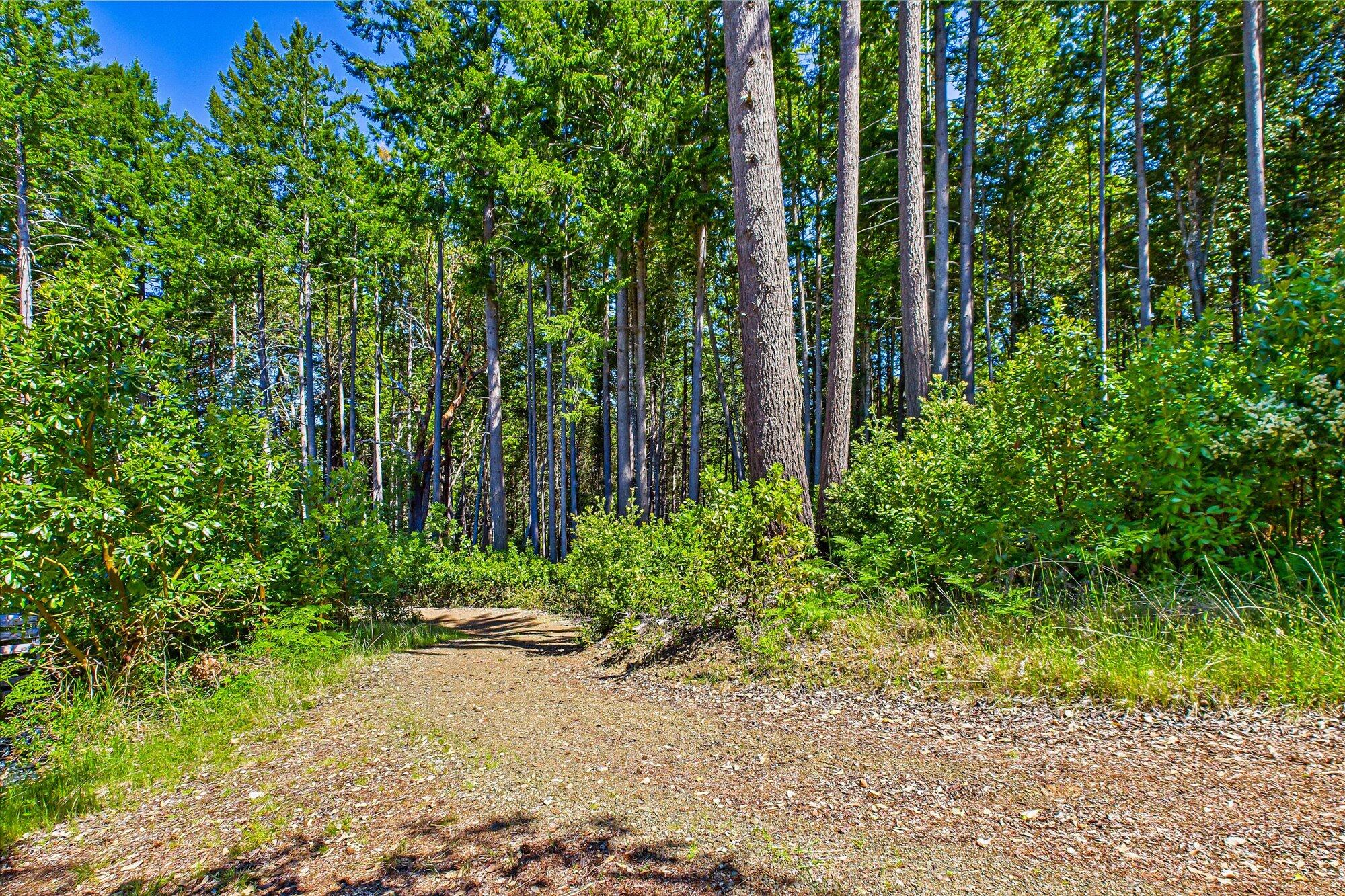 7222 Doody Ridge Road Garberville, CA 95542 - Photo 25 of 73 29-7222 Doody Ridge-128