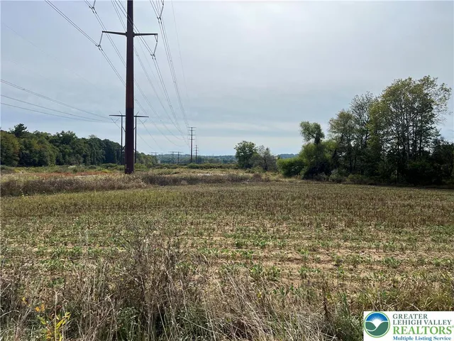 a view of a field with a dry ground in background