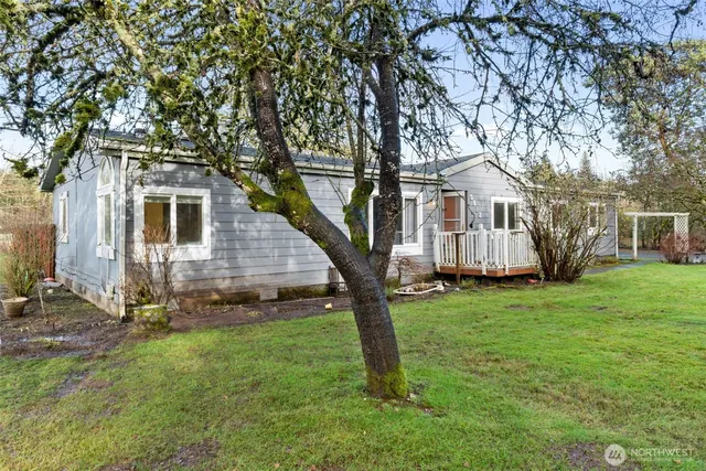 a view of backyard with a barn and large trees