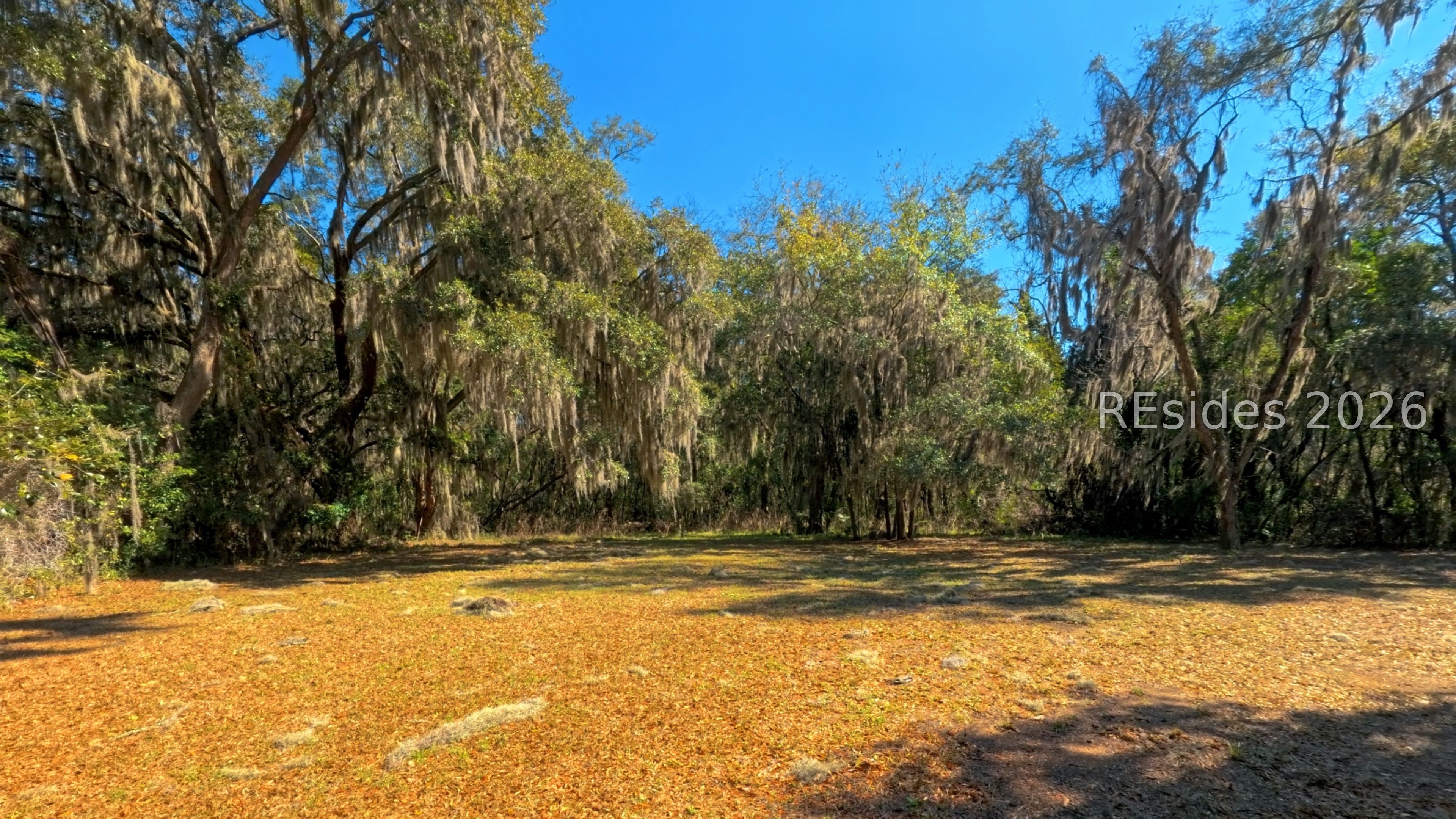 1405 Ribaut Road Port Royal, SC 29935 - Photo 5 of 6