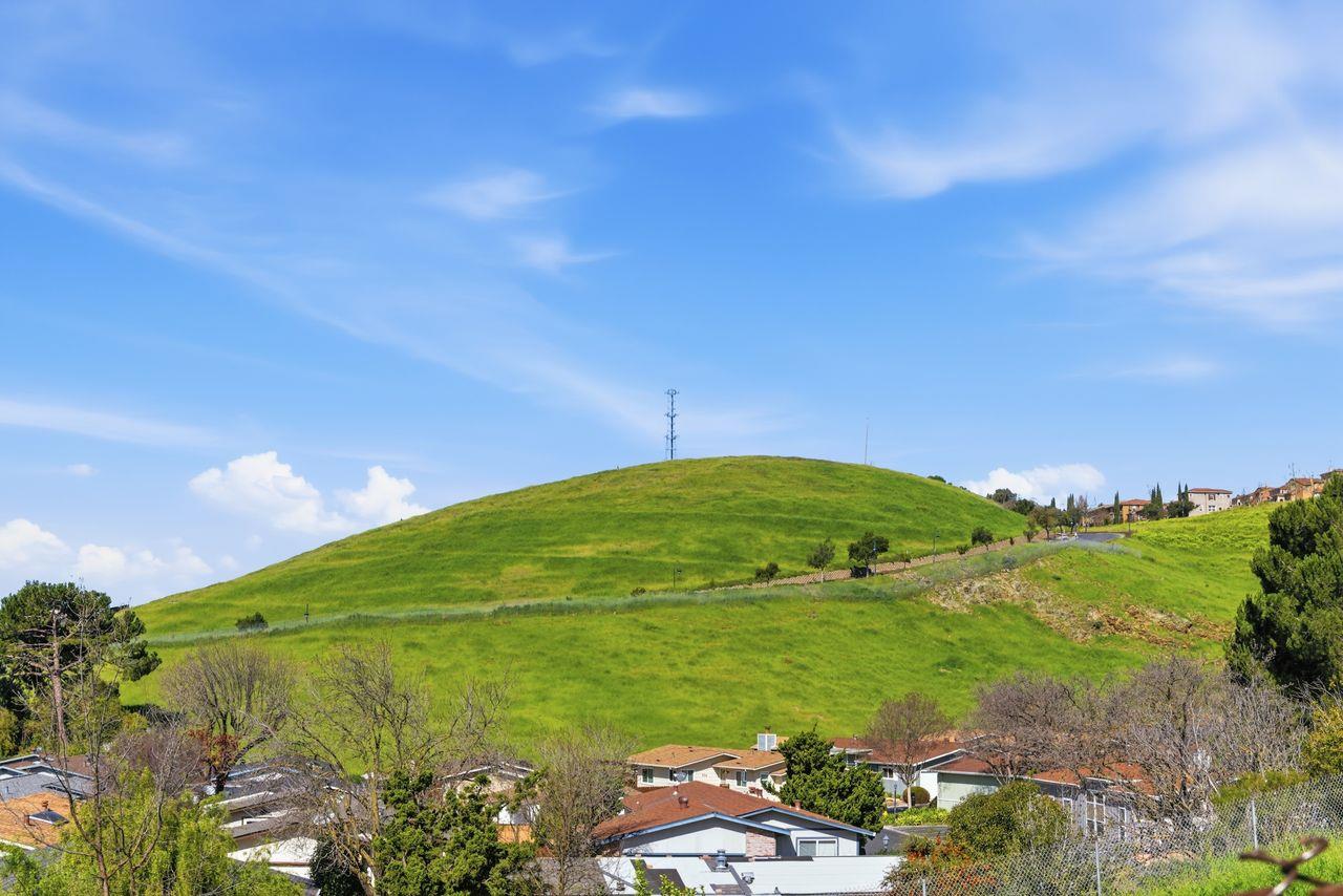 3115 Heather Ridge Drive San Jose, CA 95136 - Photo 2 of 22 a green field with lots of green space
