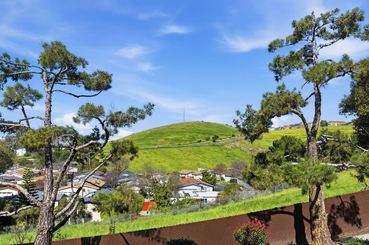 3115 Heather Ridge Drive San Jose, CA 95136 - Photo 22 of 22 a view of a flower