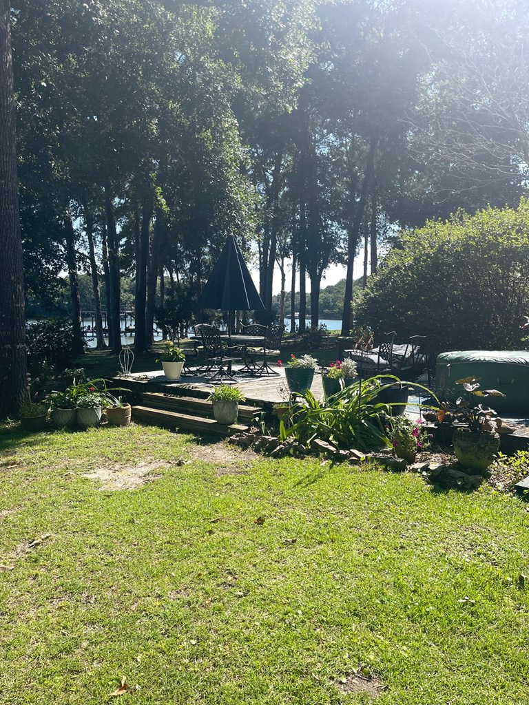 793 Doctors Pt Road Abbeville, AL 36310 - Photo 3 of 14