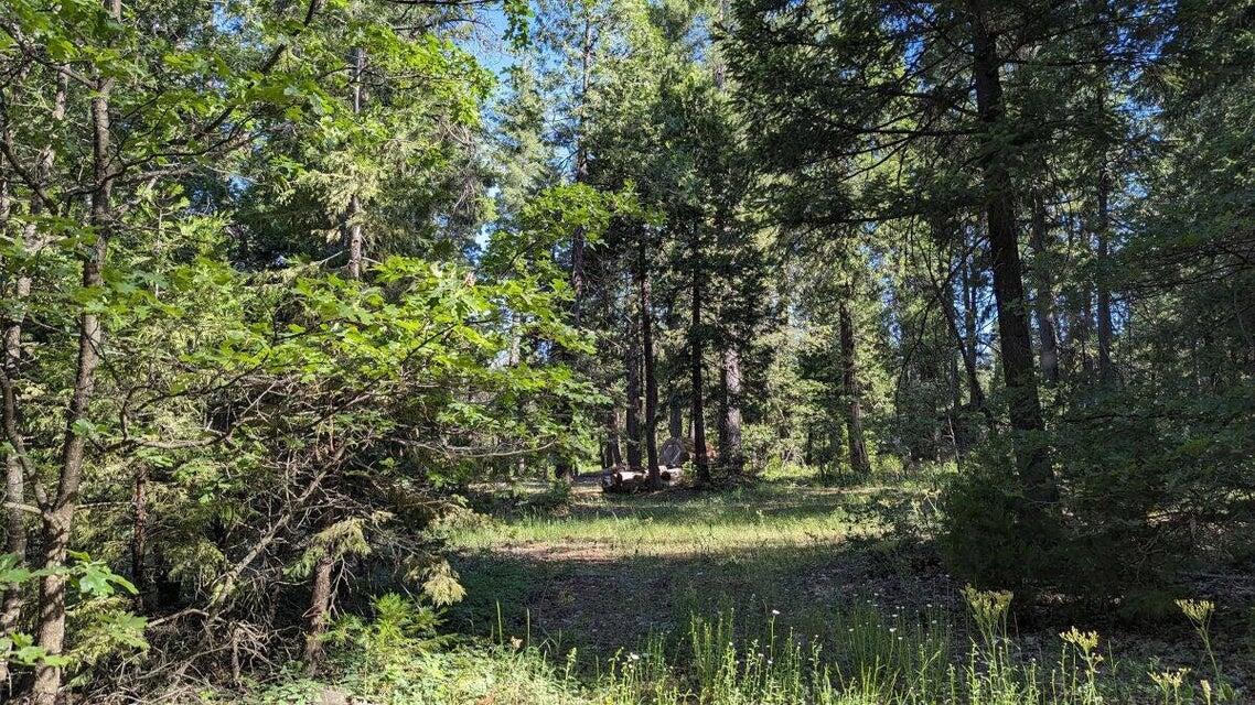 7693 Linda Road Shingletown, CA 96088 - Photo 8 of 11 20250630222143901422000000-o