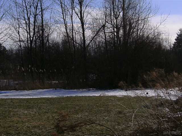 8441 County Road Clarence, NY 14051 - Photo 2 of 7 Land