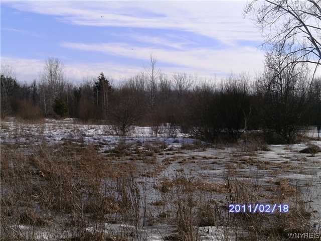 8441 County Road Clarence, NY 14051 - Photo 4 of 7 Land