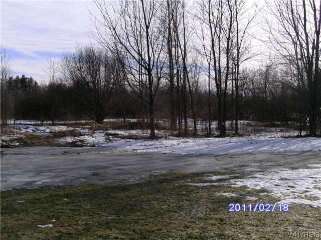 8441 County Road Clarence, NY 14051 - Photo 5 of 7 Land