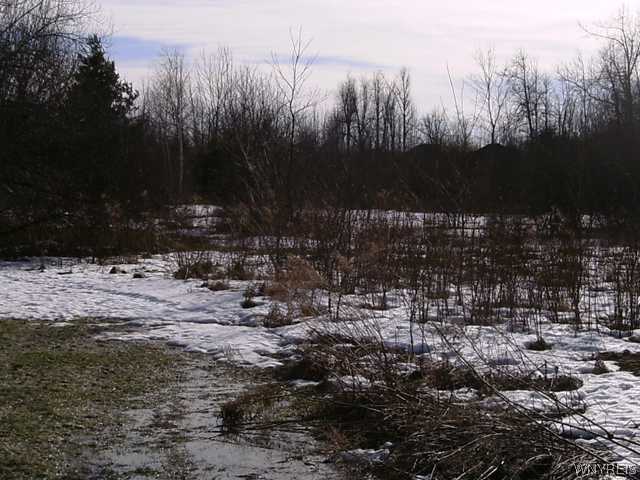 8441 County Road Clarence, NY 14051 - Photo 6 of 7 Land