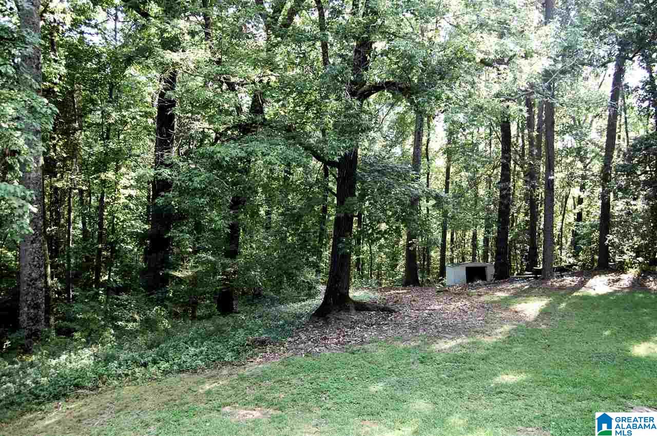 271 Mountain Trail Warrior, AL 35180 - Photo 33 of 38